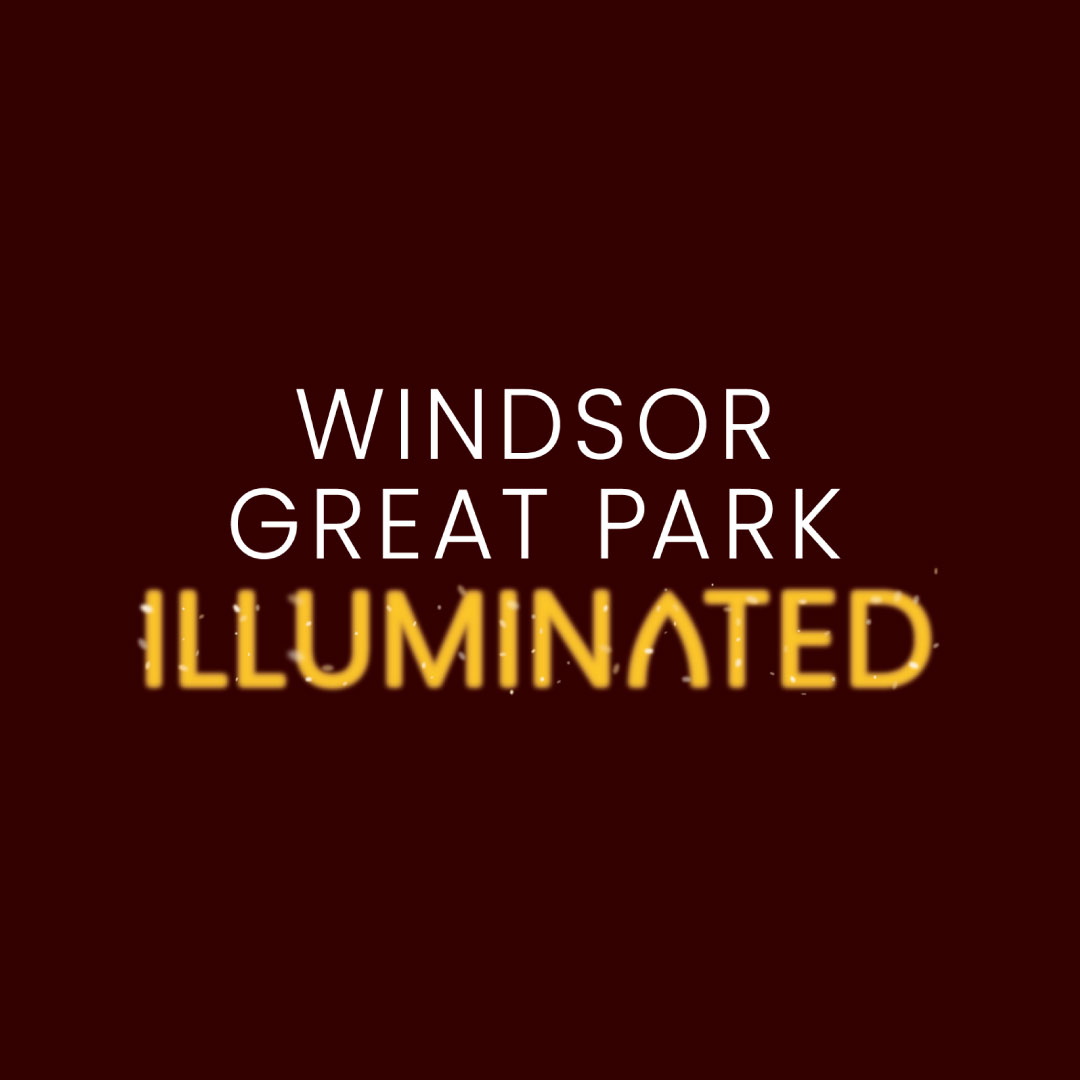 Windsor Illuminate The Night Body Gems